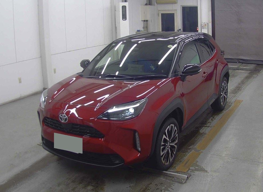 MXPJ10-2078524